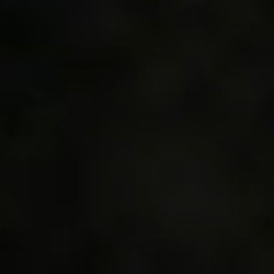 Meet your Posher, Isabella moonesinghe